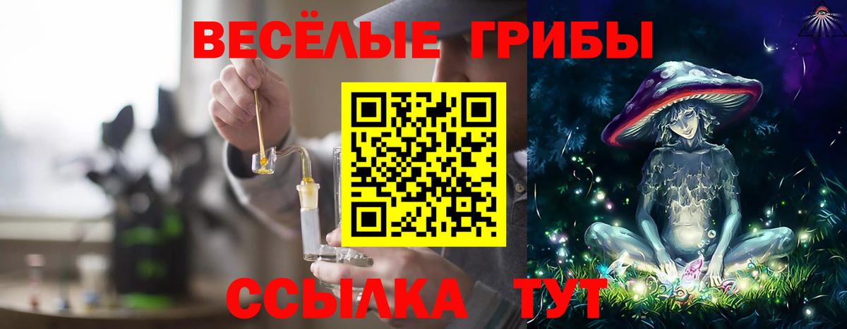 Норильск  Псилоцибиновые грибы Cubensis  Вход с VPN 
